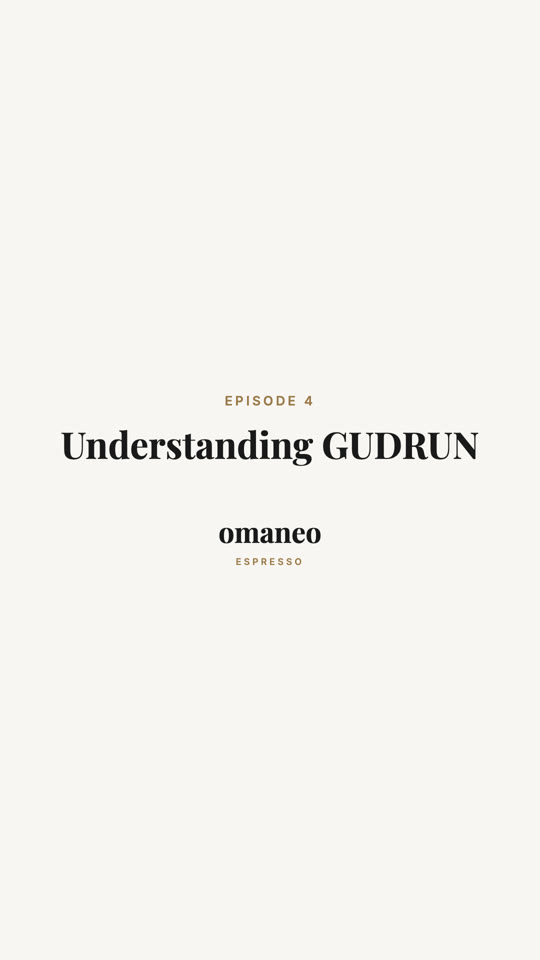 Episode 4: Understanding GUDRUN